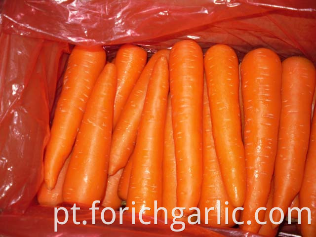 Fresh Carrot